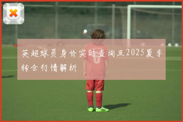 英超球员身价实时查询及2025夏季转会行情解析