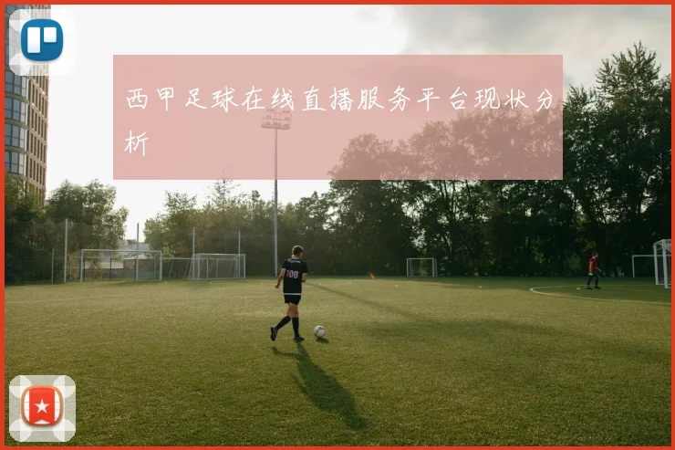 西甲足球在线直播服务平台现状分析