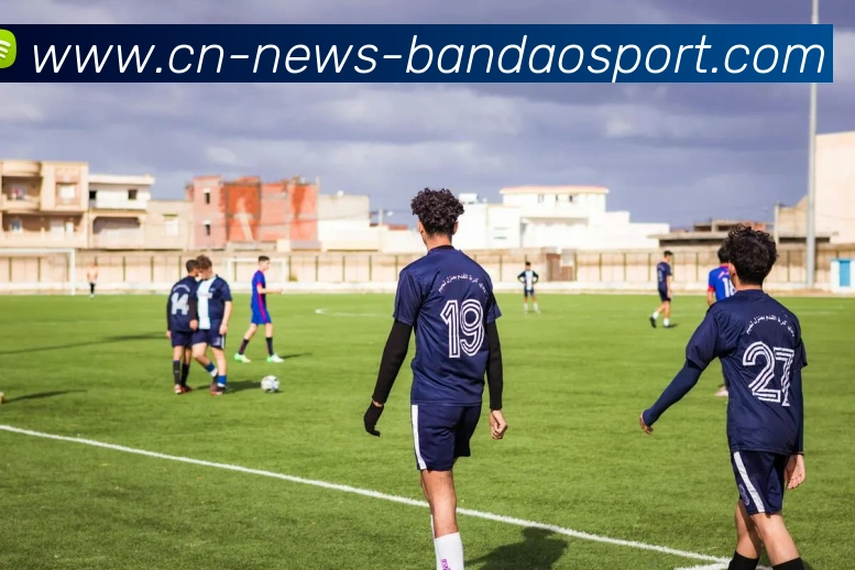 西甲足球在线直播服务平台现状分析